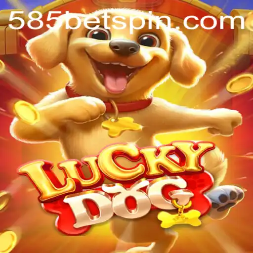Dive into the Exciting World of LuckyDog and 585BET